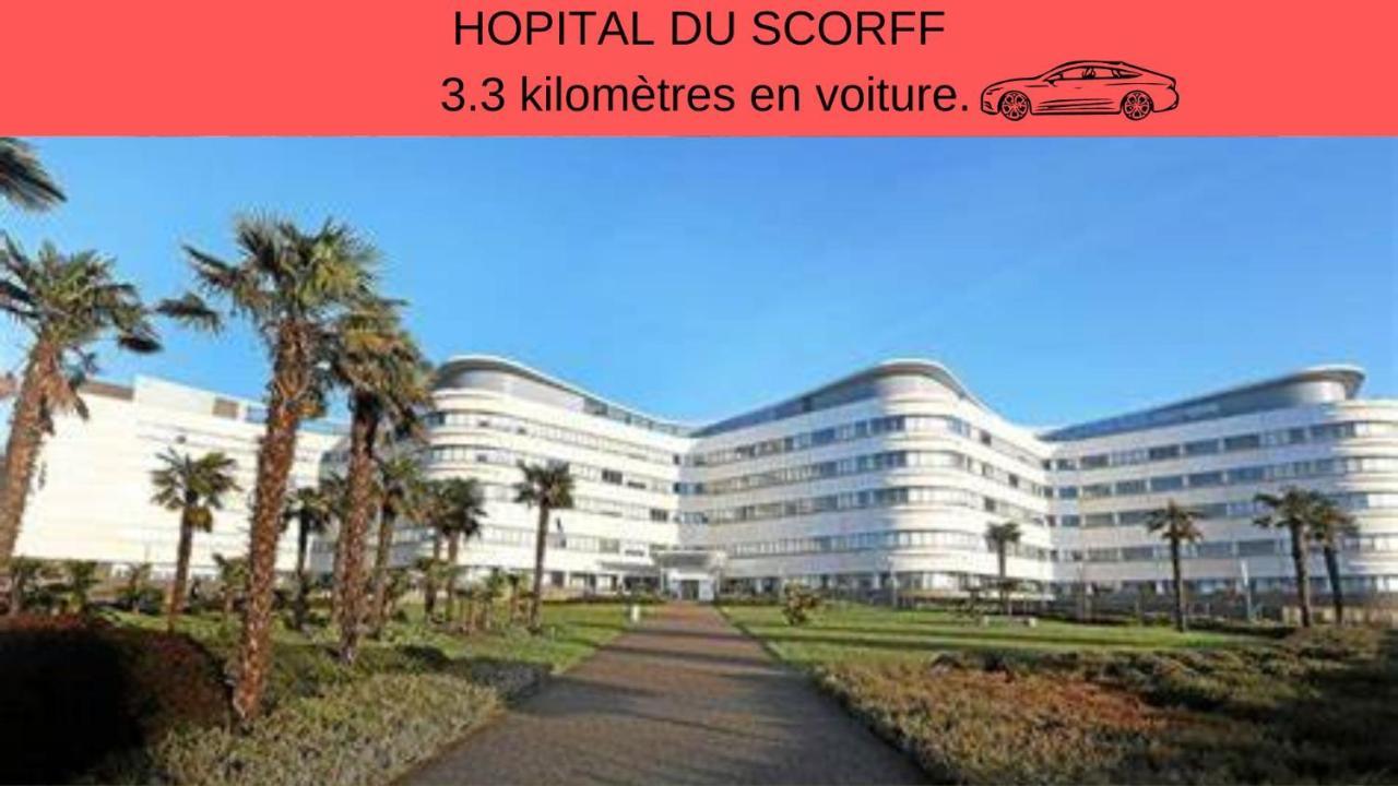 Centre Ville - Lumineux - Fibre Internet Haut Debit - Route Des Plages 洛里昂 外观 照片